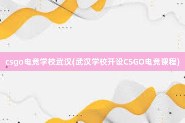 csgo电竞学校武汉(武汉学校开设CSGO电竞课程)
